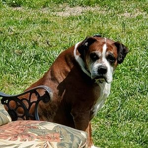 Meet your Posher, Christina